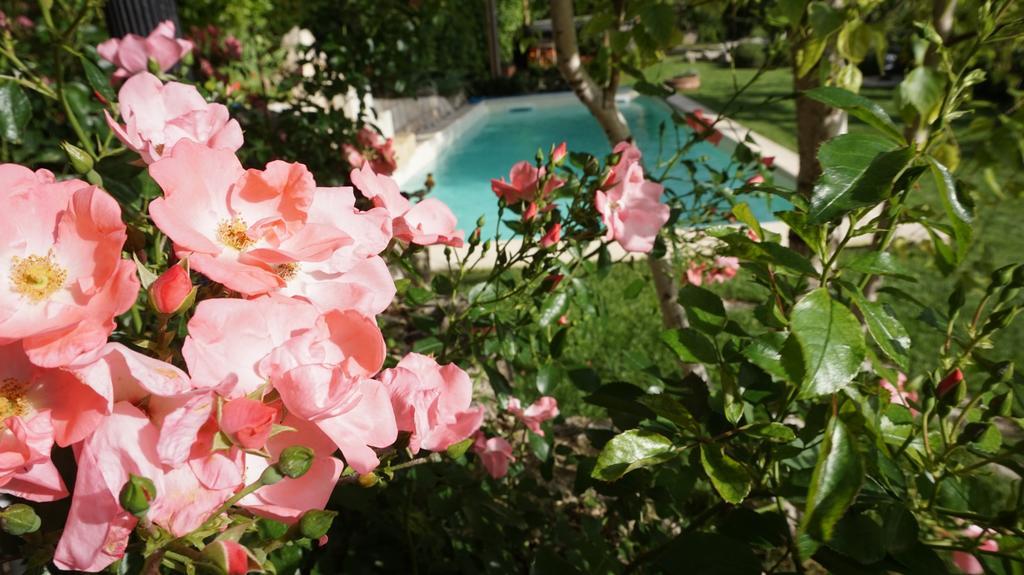 Bed and Breakfast Mary'S Dream Manoppello Экстерьер фото