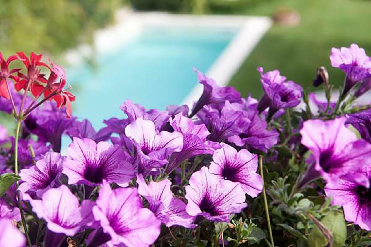 Bed and Breakfast Mary'S Dream Manoppello Экстерьер фото